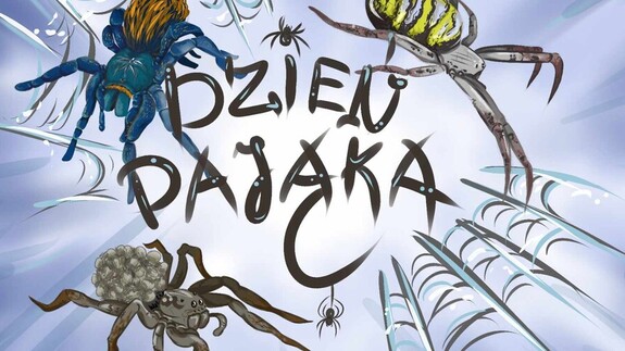 dzień pająka