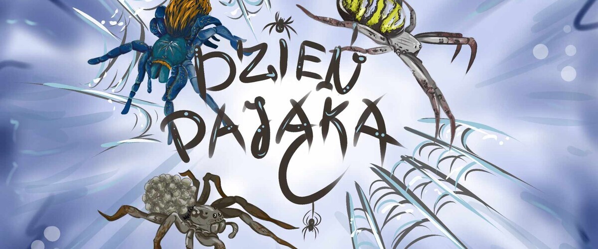 dzień pająka