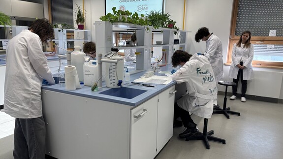 uczniowie biorący udział w II etapie Olimpiady chemicznej w kampusie UwB